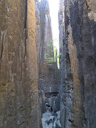 tsingy5